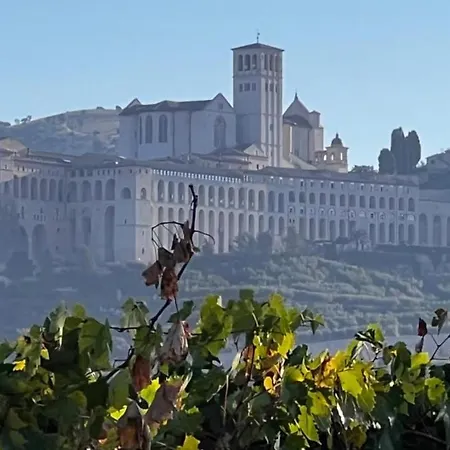Locazione Turistica Santa Chiara Santa Maria Degli Angeli (Assisi)